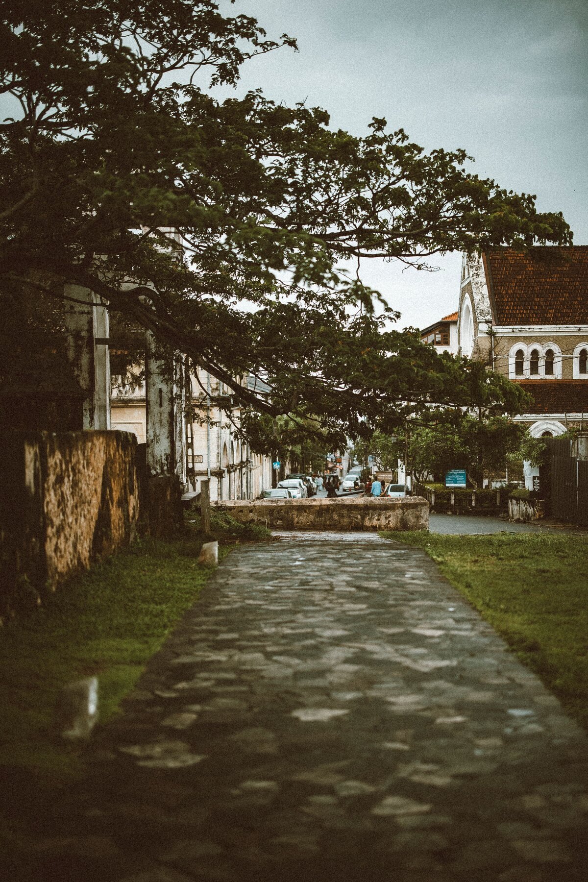 Best time to visit Sri Lanka on the south coast during the dry season