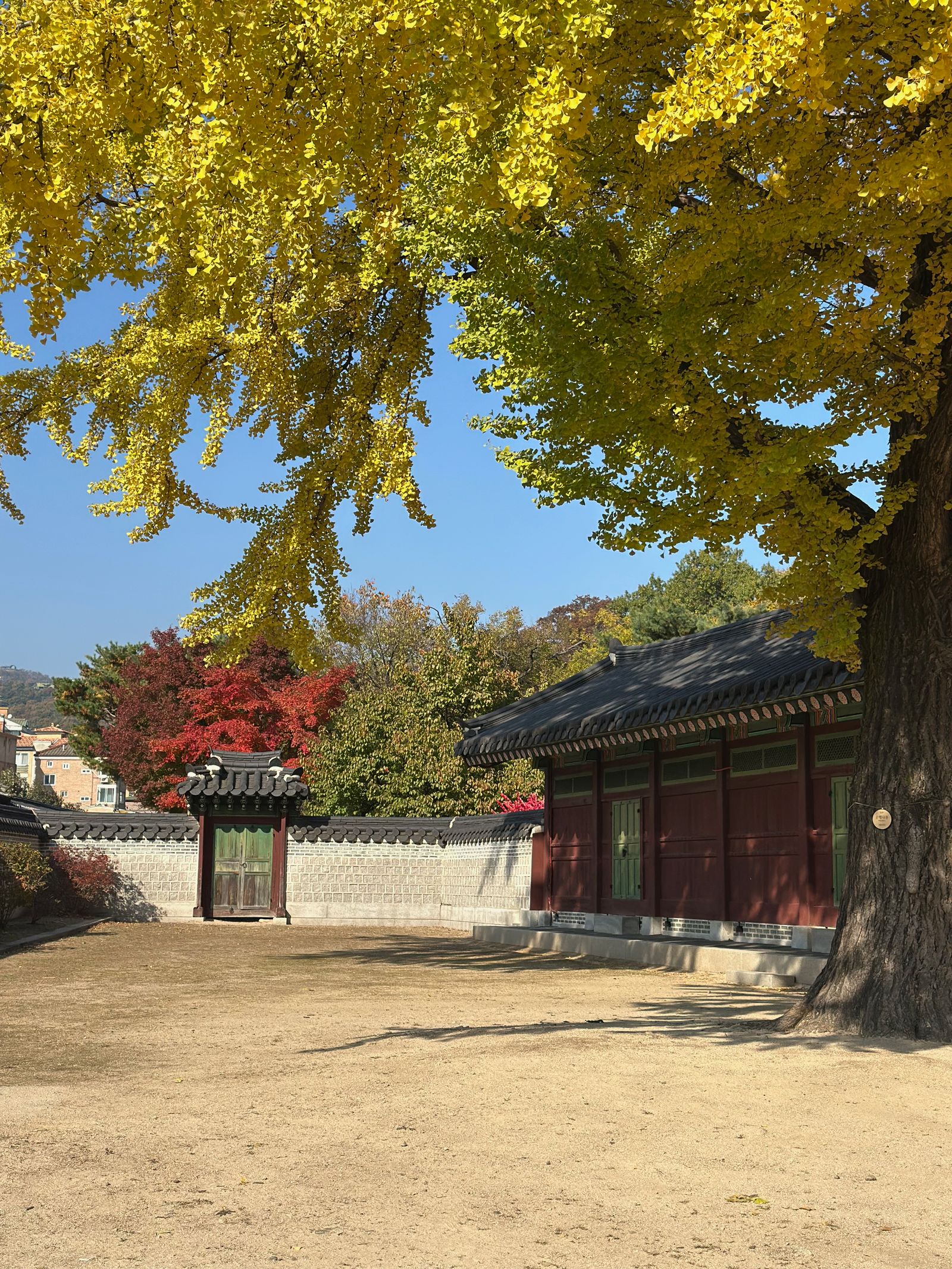 Autumn foliage around a traditional palace in Seoul, South Korea